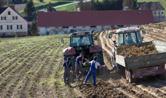 Traktoren und Bauern auf einem Feld